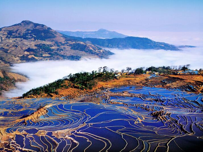 1594864168656118.jpg 1594864168656118.jpg