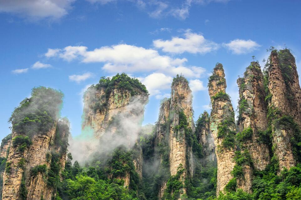 1596534037632537.jpg 1596534037632537.jpg