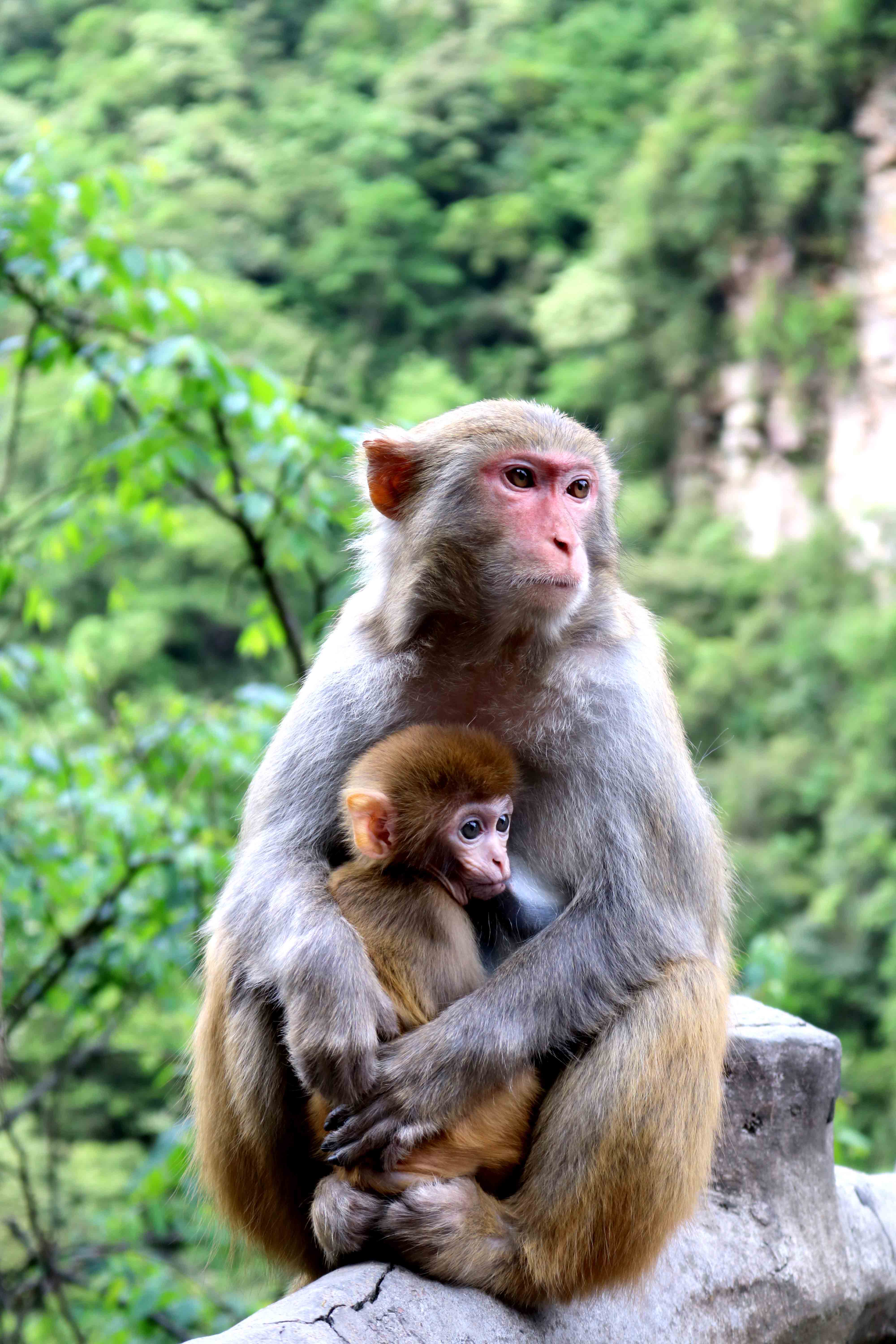 1604302431844108.jpg 1604302431844108.jpg