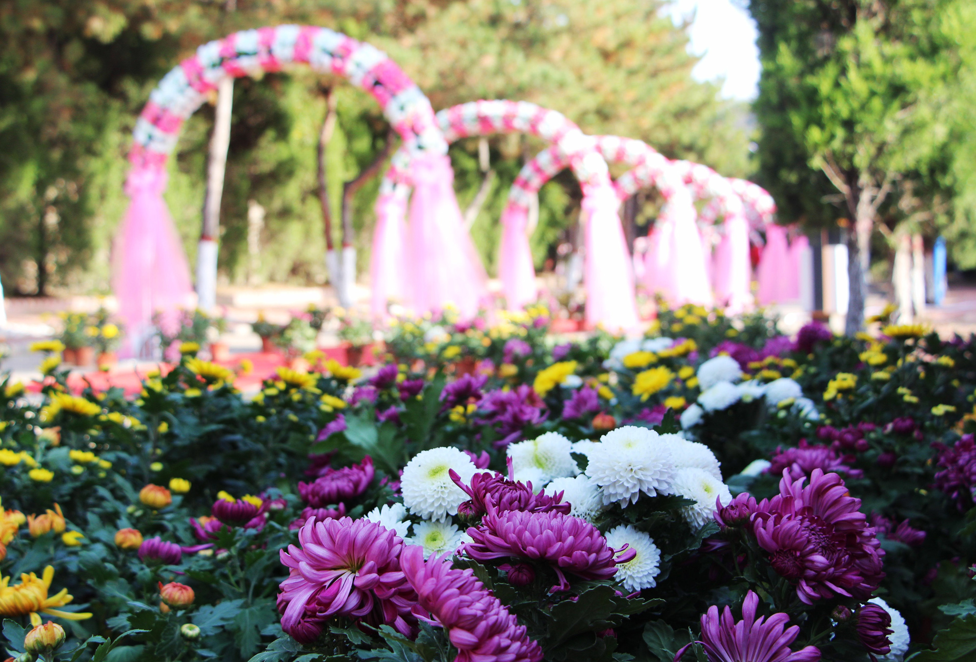 1604569264331389.jpg 1604569264331389.jpg