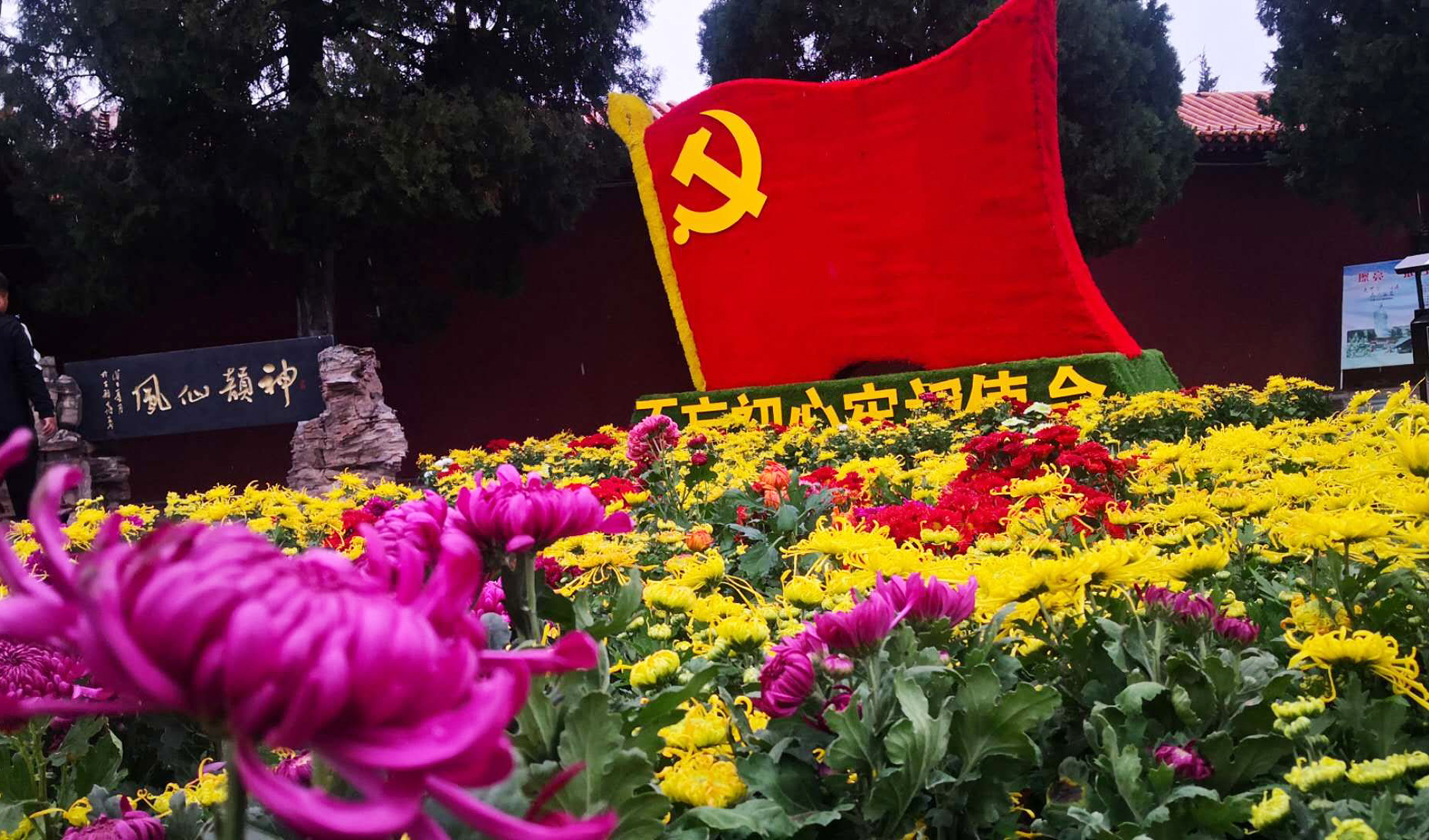 1604569327919278.jpg 1604569327919278.jpg