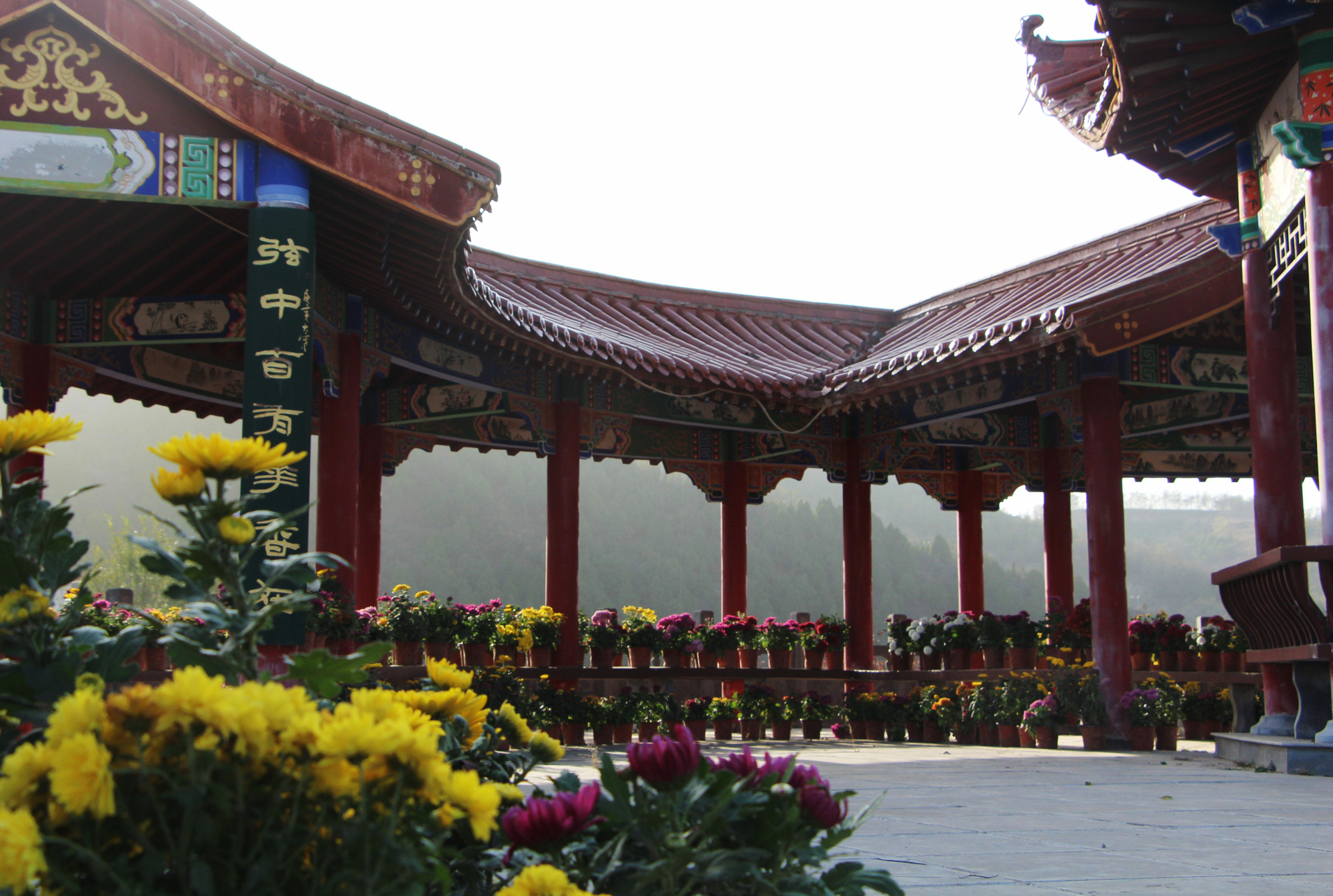 1604569659854229.jpg 1604569659854229.jpg