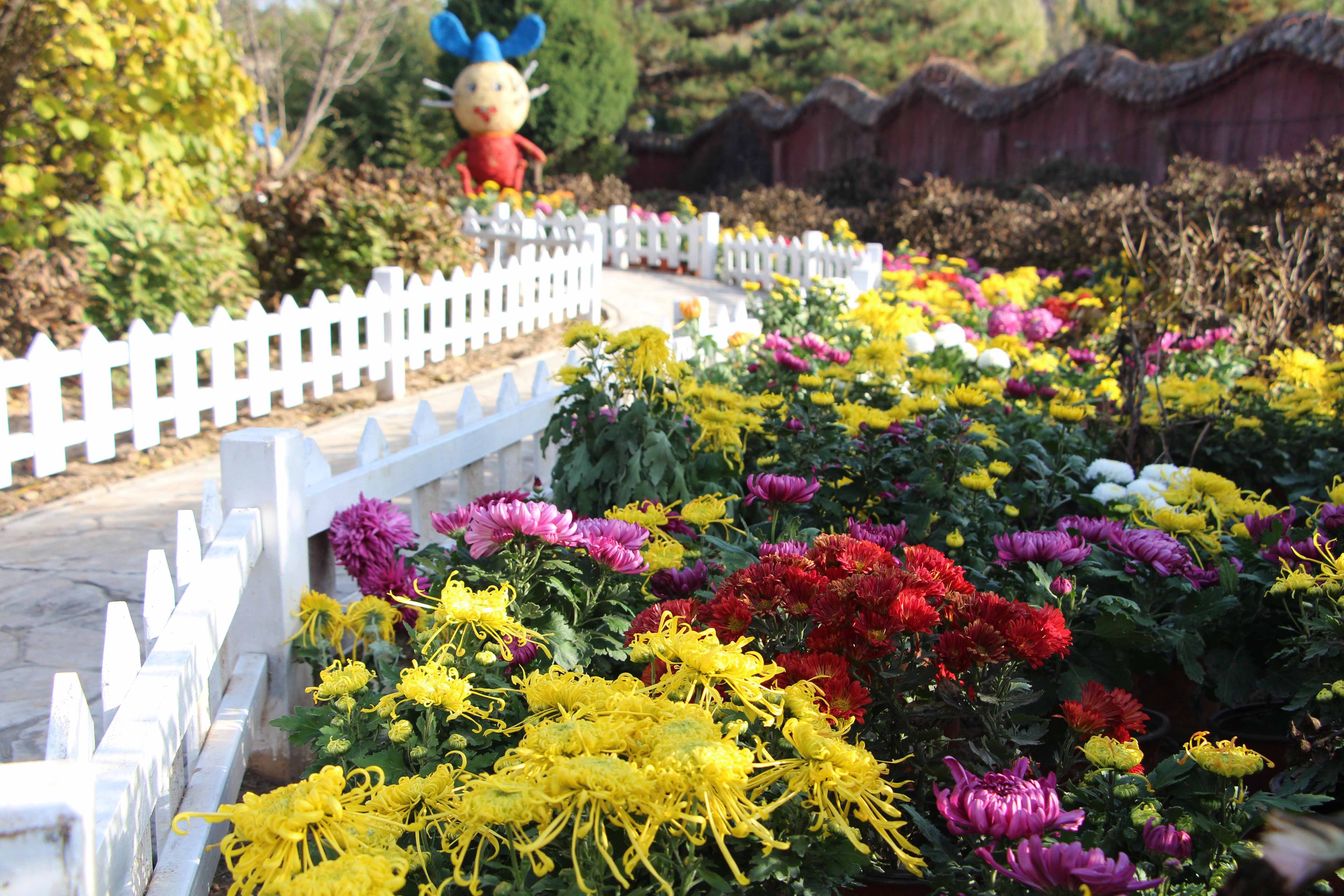 1604569749962558.jpg 1604569749962558.jpg