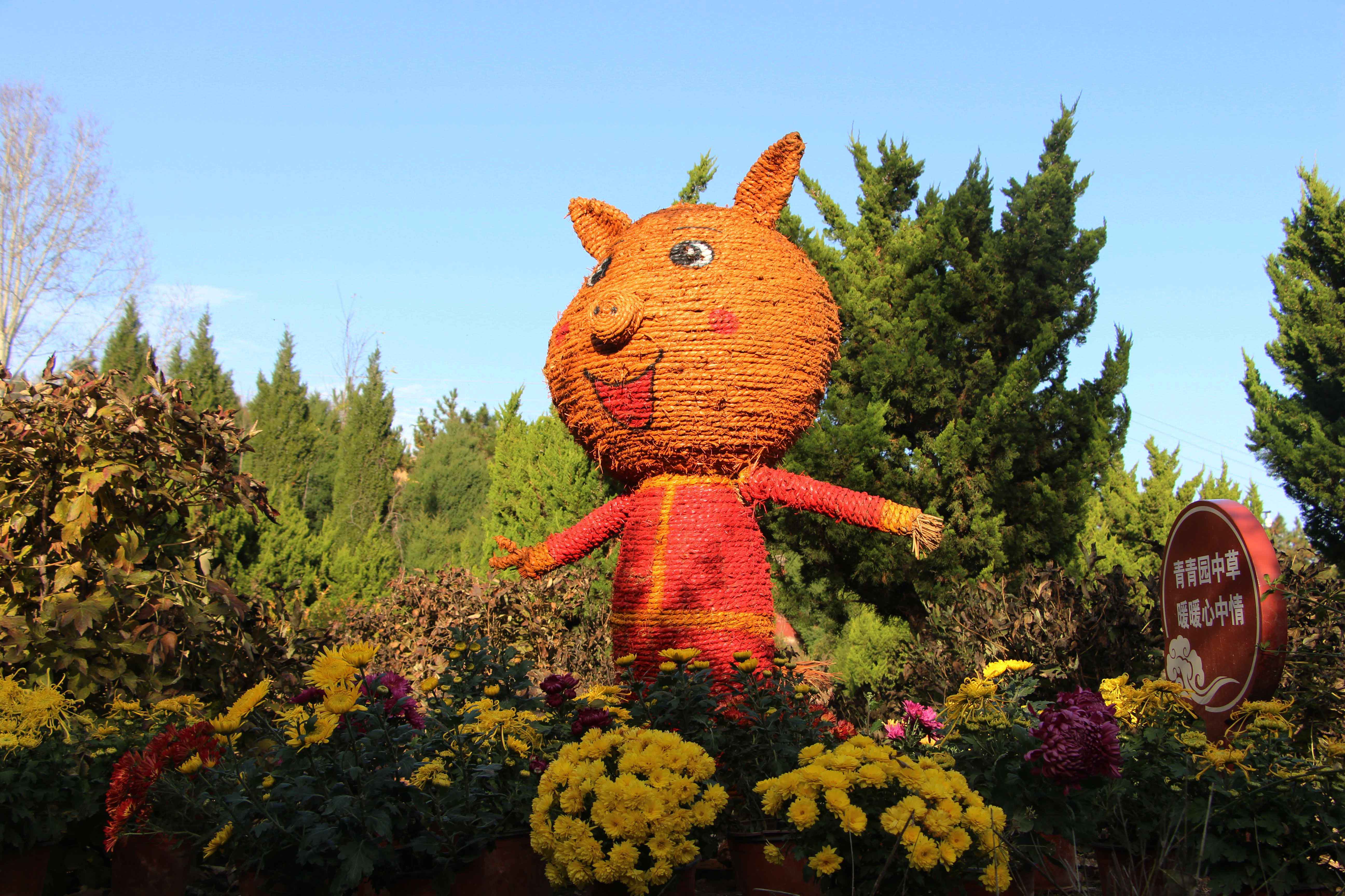 1604569799707851.jpg 1604569799707851.jpg