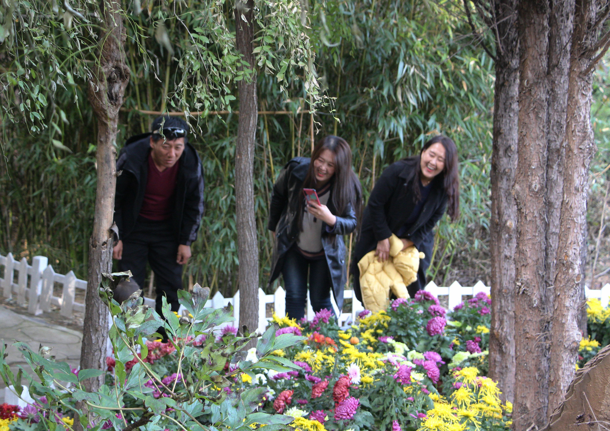 1604569864141159.jpg 1604569864141159.jpg