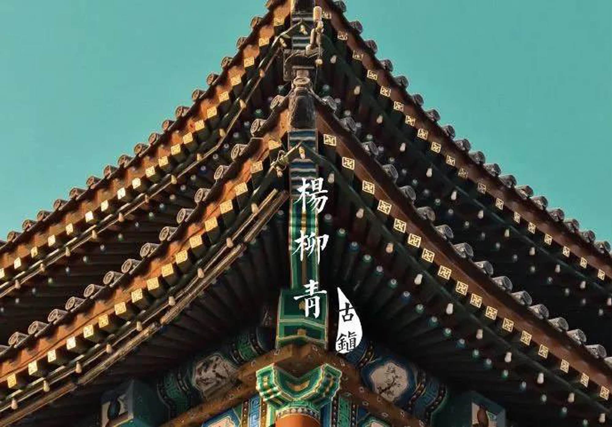 1605578288852917.jpg 1605578288852917.jpg