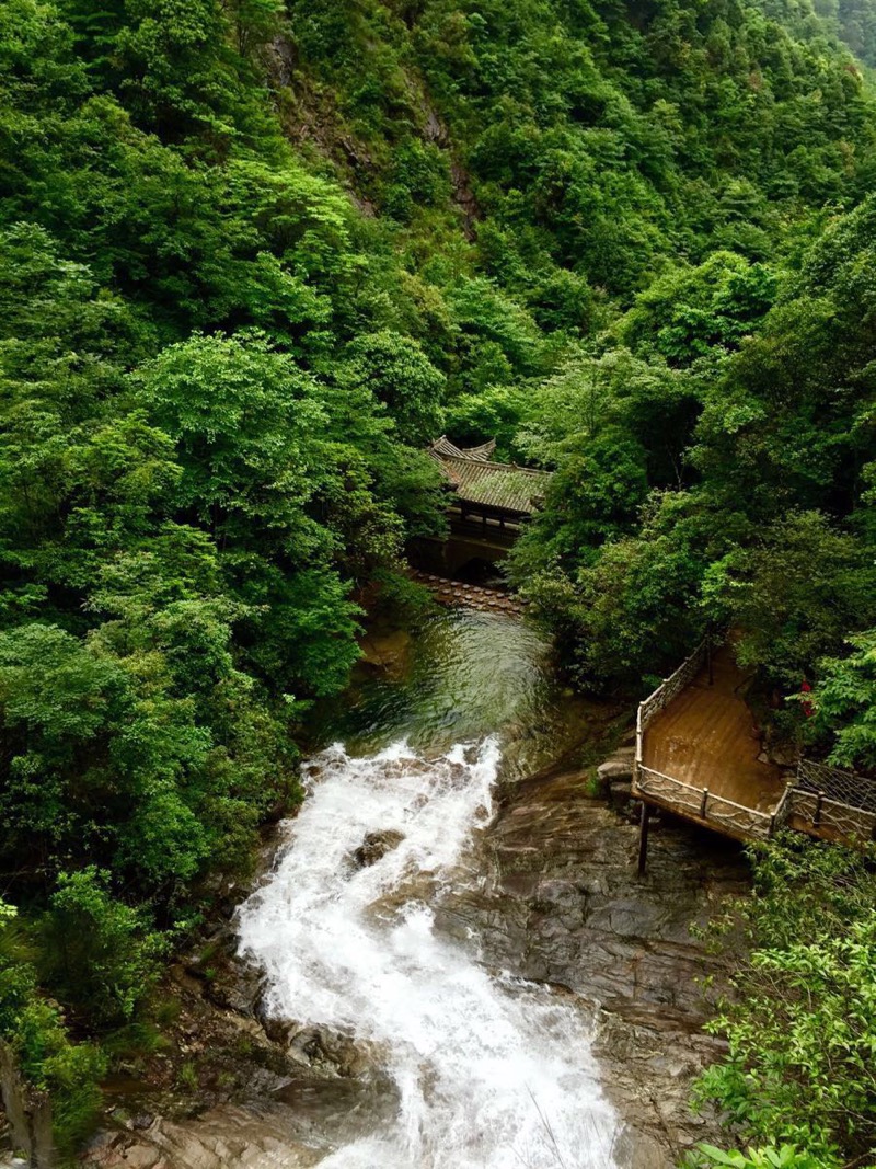 1627289317158345.jpeg WechatIMG119.jpeg