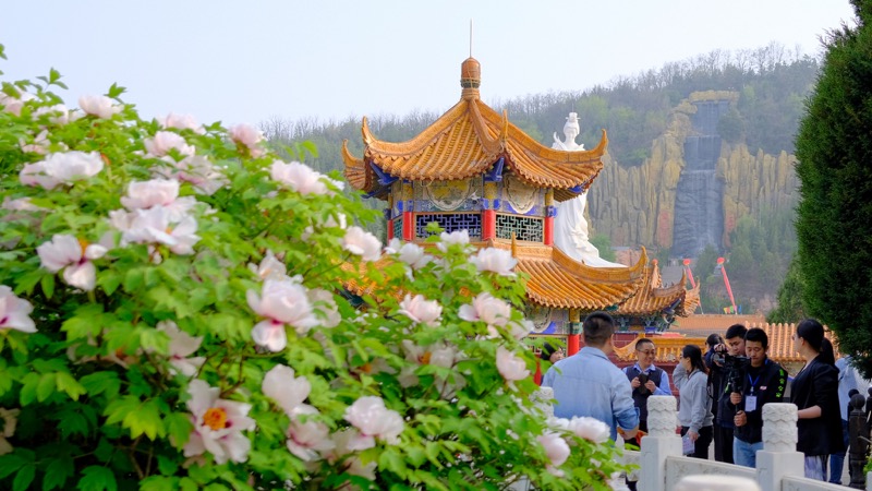 1637212126455812.jpeg WechatIMG75.jpeg