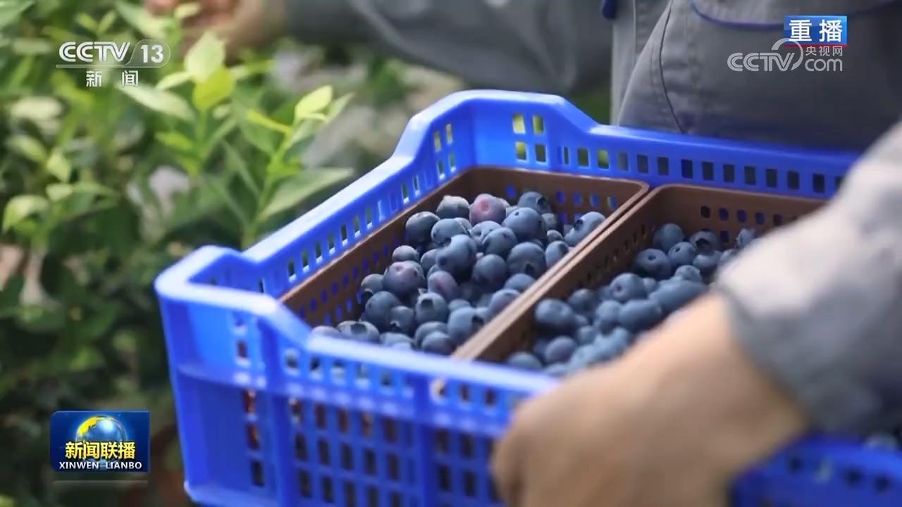 1687661971970615.jpg d5faa78164a34b6ebb2a4b414fea06a2~noop.jpg