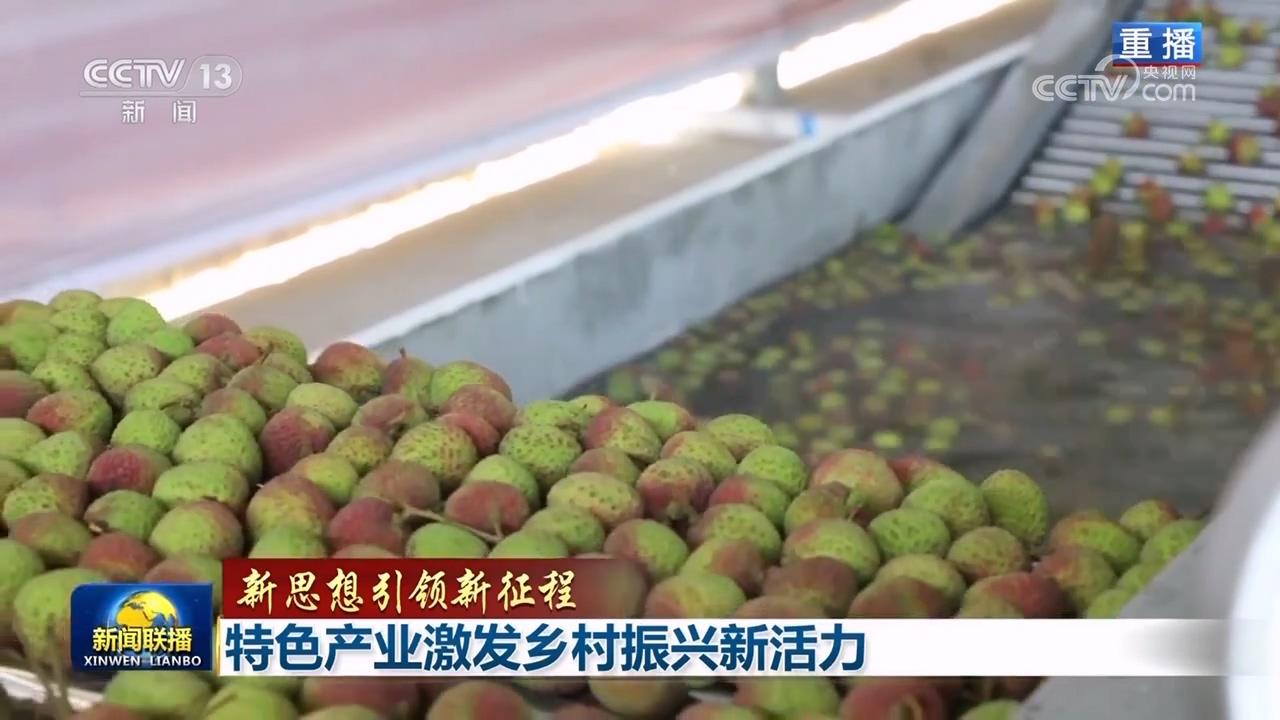 1687662001212066.jpg 336e06e852464dd4b3fd27d9618df675~noop.jpg