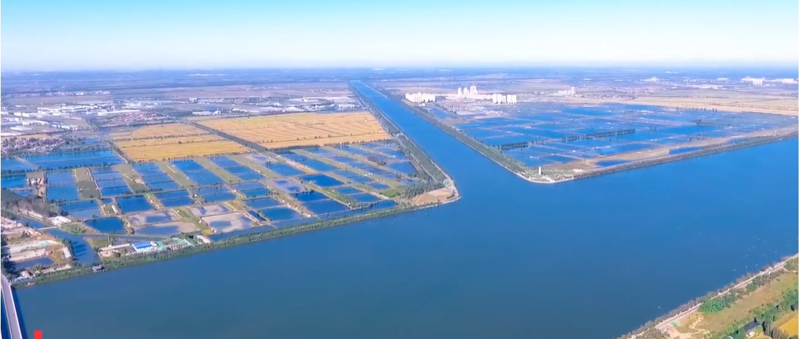 1689305511853953.png 图片1.png