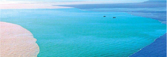 1704332547952213.png 1903251711213229909.png