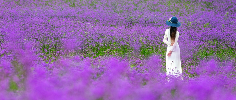 1709879475891719.jpg 微信图片_20240308090758-768x327.jpg