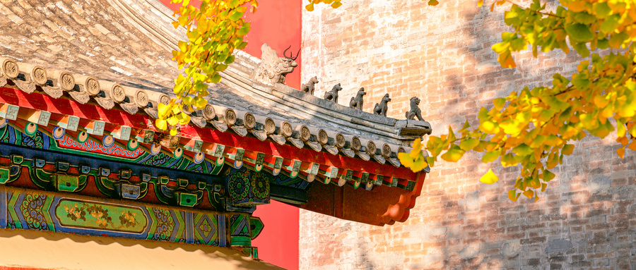 1725958683174732.jpg 摄图网_501788669_wx_北京香山公园枫叶(企业商用).jpg