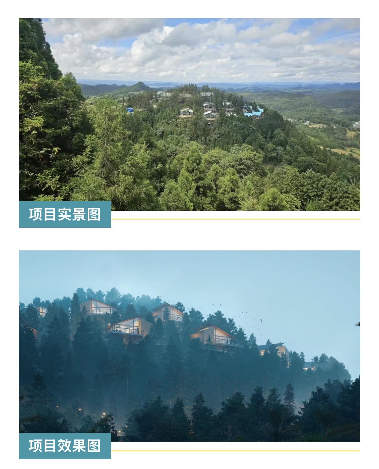 1763649799711210.jpg WechatIMG10158.jpg