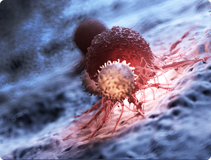 99草草国产熟女视频在线