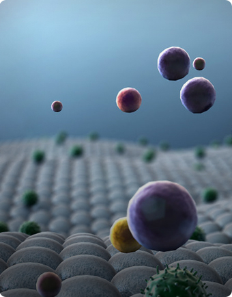 99草草国产熟女视频在线