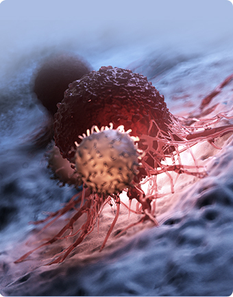 99草草国产熟女视频在线