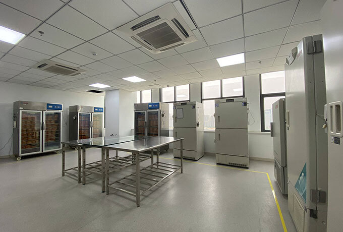 99草草国产熟女视频在线