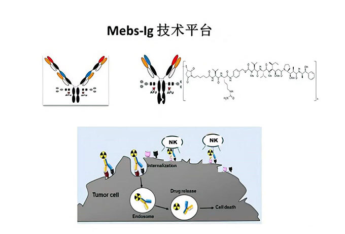 99草草国产熟女视频在线