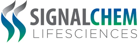 99草草国产熟女视频在线